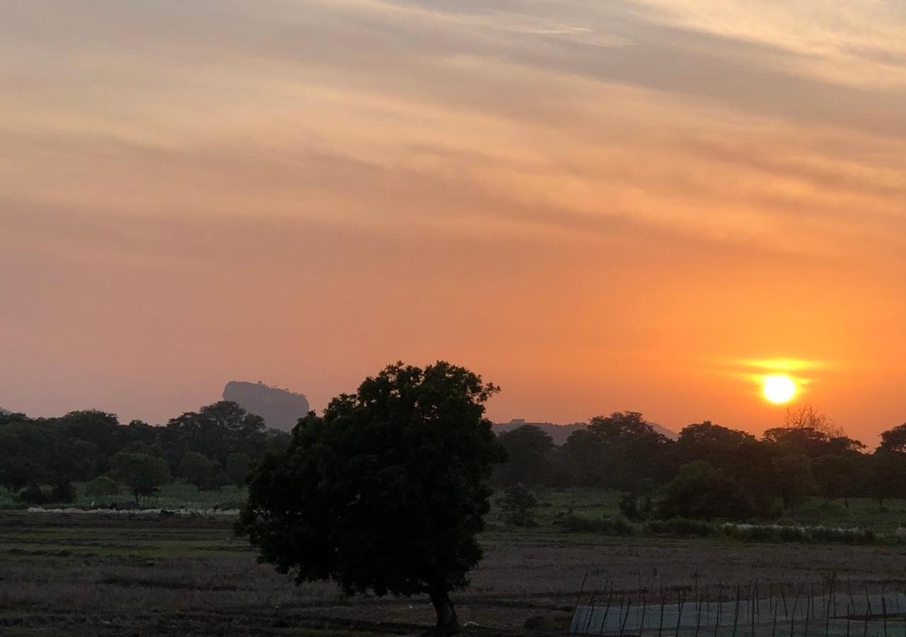 Atteriya Sigiriya 호텔 외부 사진